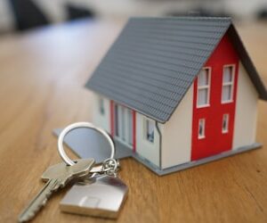 ভূমি আইন ও সম্পত্তি হস্তান্তর